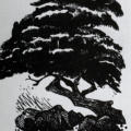 Monkey Puzzle and Other Poems