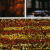 ASMP Book 3