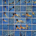 Cameraworks: David Hockney