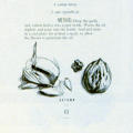 Seasonal Gifts from the Kitchen