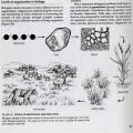 Life: The Science of Biology