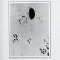 Microbiology, Fundamentals and Applications