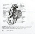 General Biology