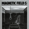 Magnetic Fields