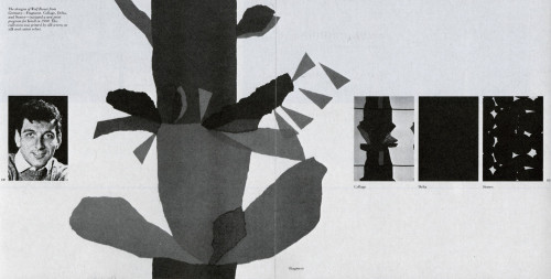 Knoll Design