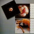 1982 Saga Calendar
