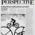 Perspective