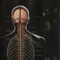Central Nervous System, Lioresal & Tegretol