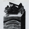 Triton Oil & Gas Corp. 1980 Annual Report
