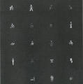 Cluett, 1979 Annual Report