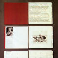 Saga Calendar 1981