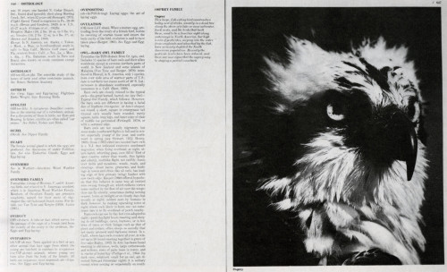 The Audubon Society Encyclopedia of North American Birds
