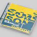 Samson: Turpitude