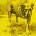 Alice in Chains “Alice in Chains”