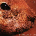 Butthole Surfers “Pepper”