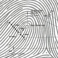 Loops and Whorls into Bits and Bytes: How One System Matches Prints