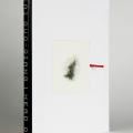 Cai Guo Quiang