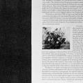 1975 Annual Report