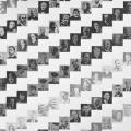 Pioneers of Flight, poster