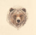 Benefit Art Auction for Earthquake Relief