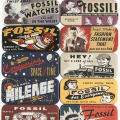 Fossil Tins