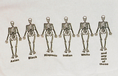 Asian, Black, Hispanic...and Any Mix of These