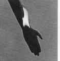 Butazolidin alka, brochure