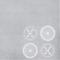 Corporation Recognition Event, folder