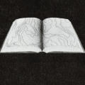 ASLA Publications, poster-mailer