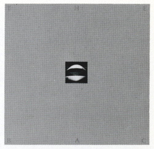 The BAG, brochure