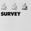 Survey, poster