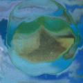 "Liquid Television Open"