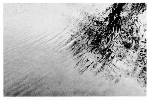 Structural Reflections, Christmas card