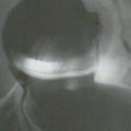 The Secret Life of an American Spy