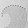 MIT Associates Program, brochure