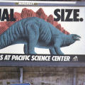 Actual Size