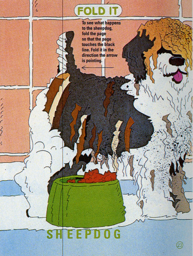 Fold-it Sheepdog/Shampoo (Instructional Puzzle)
