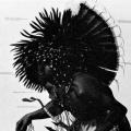 The American Indian, poster