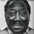 Muddy Waters