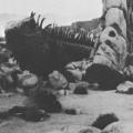 "Desert Creatures"