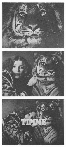 "Lady and the Tiger"