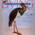 Living, California, Nov. 14, 1982