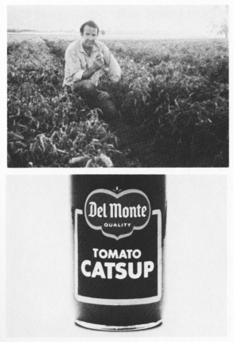"Tomato Farmer"