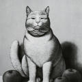 Cat With Apples