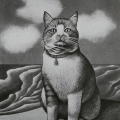 Communication Arts March-April 1978, Matthew's Cat