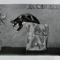 Revealing Illustrations