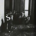 Squatters in Black Tie—Jackass Penguins