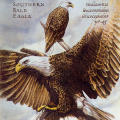 Communication Arts: Vanishing Creatures