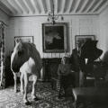 A Horse in the Dining Room