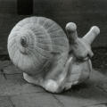 Snail